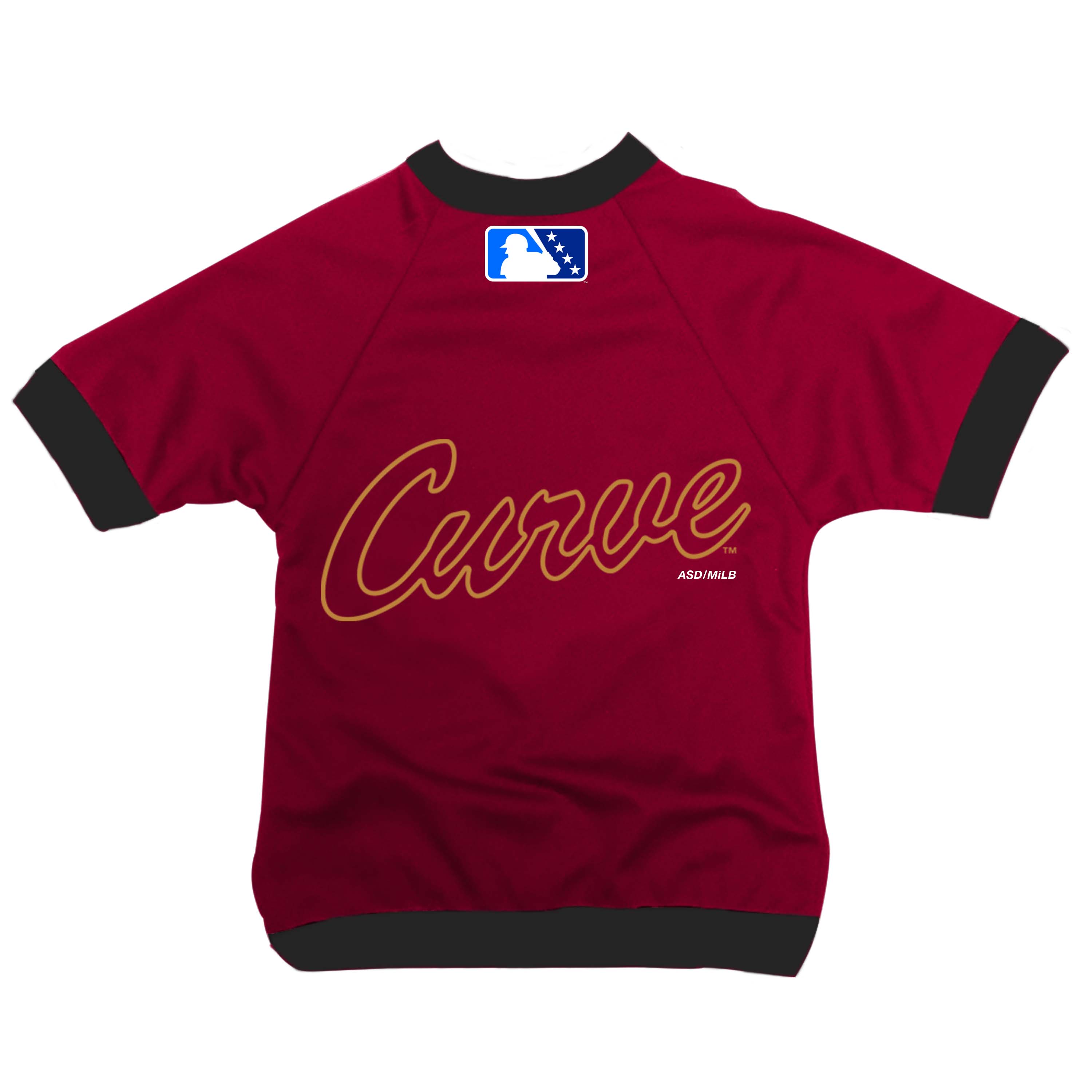 altoona curve jersey