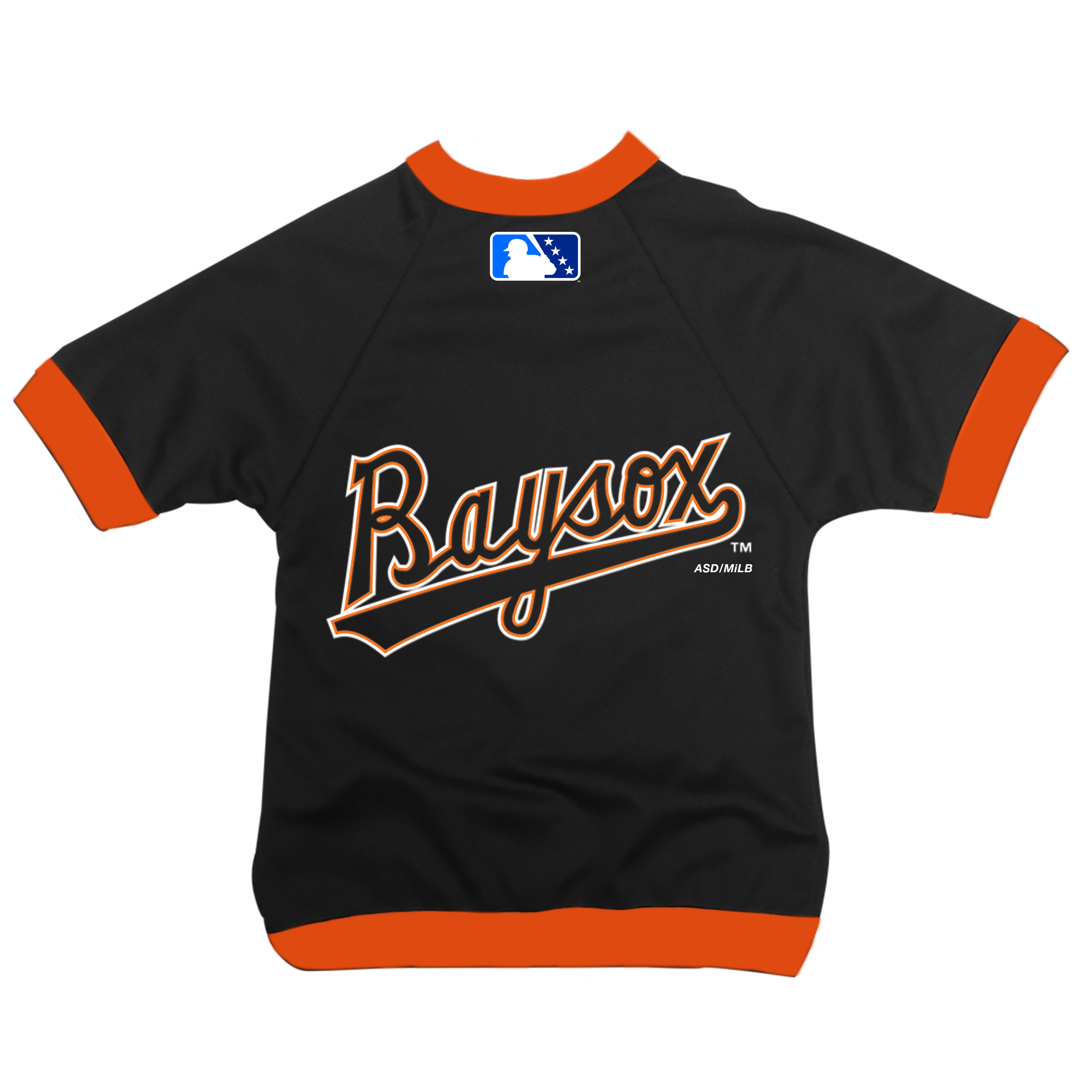 bowie baysox jersey