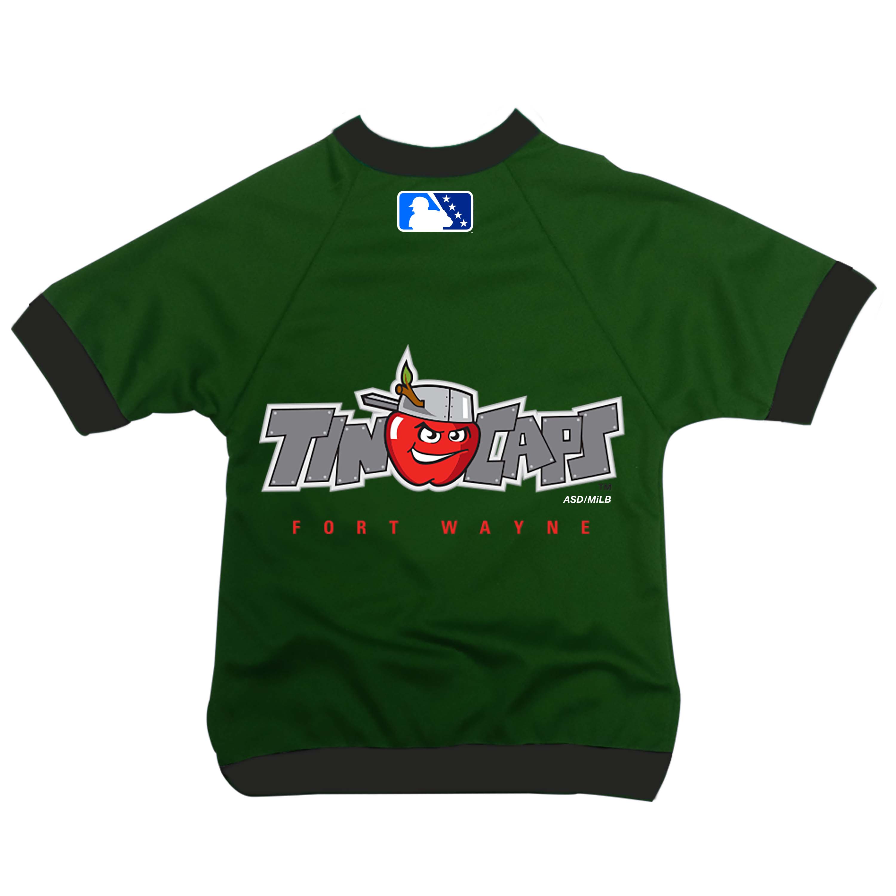 tincaps jersey