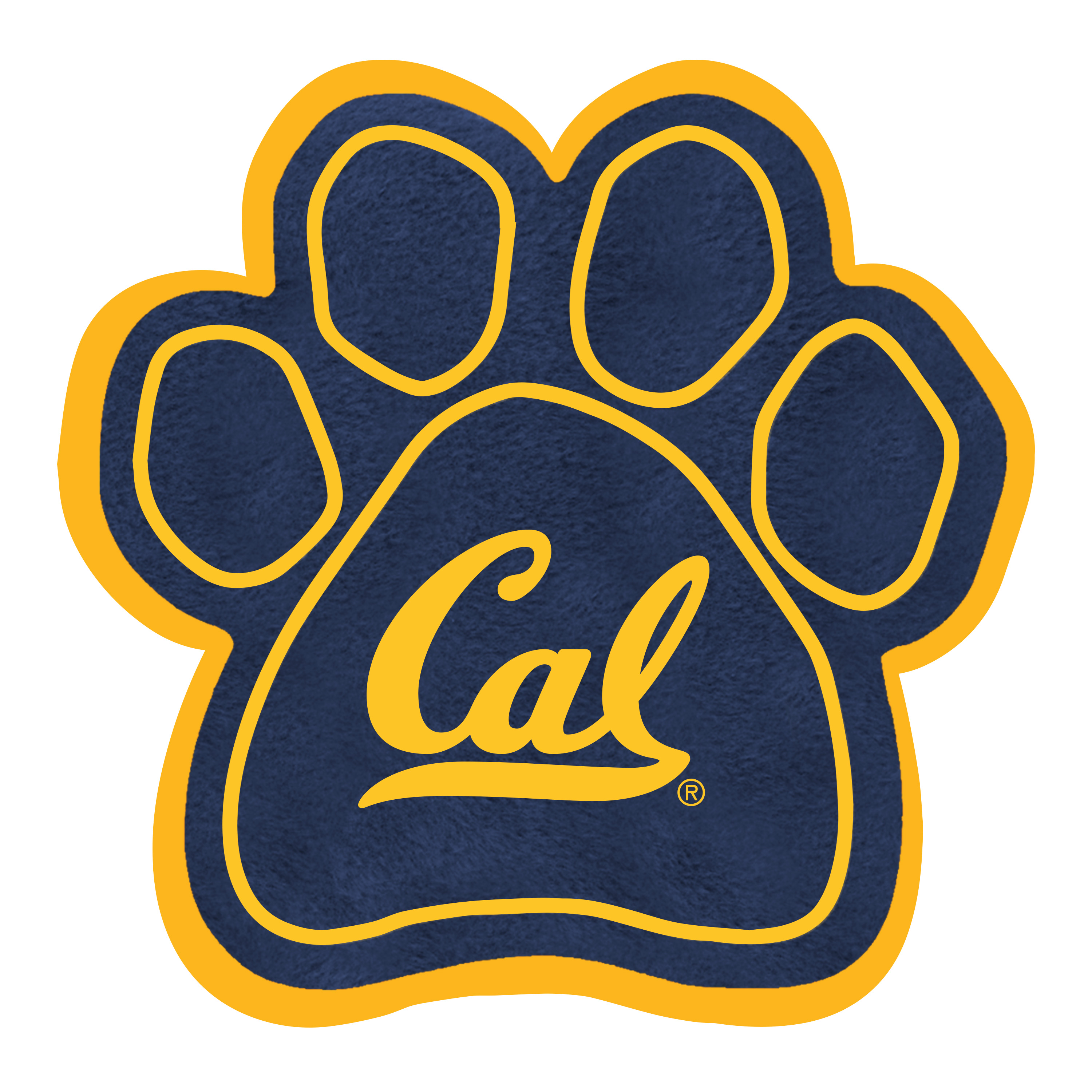 Image result for cal bear paw