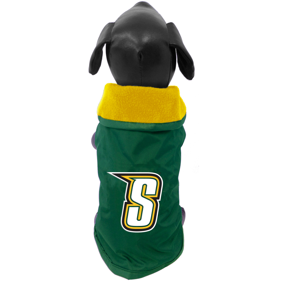 saints dog jersey