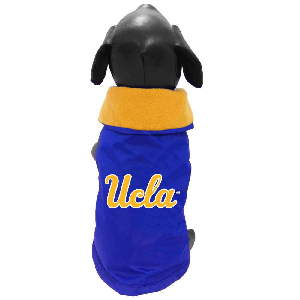 UCLA Bruins Pet Supplies