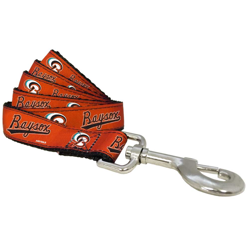 All Star Dogs: Bowie Baysox Pet Products
