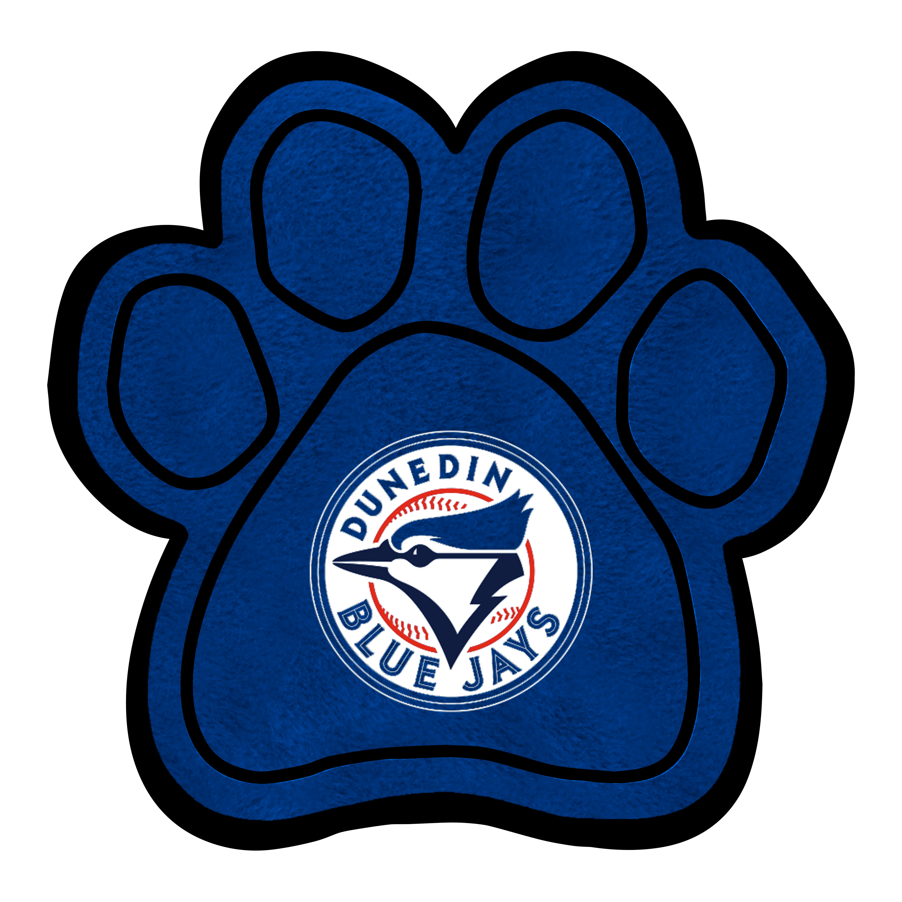 dunedin blue jays mascot