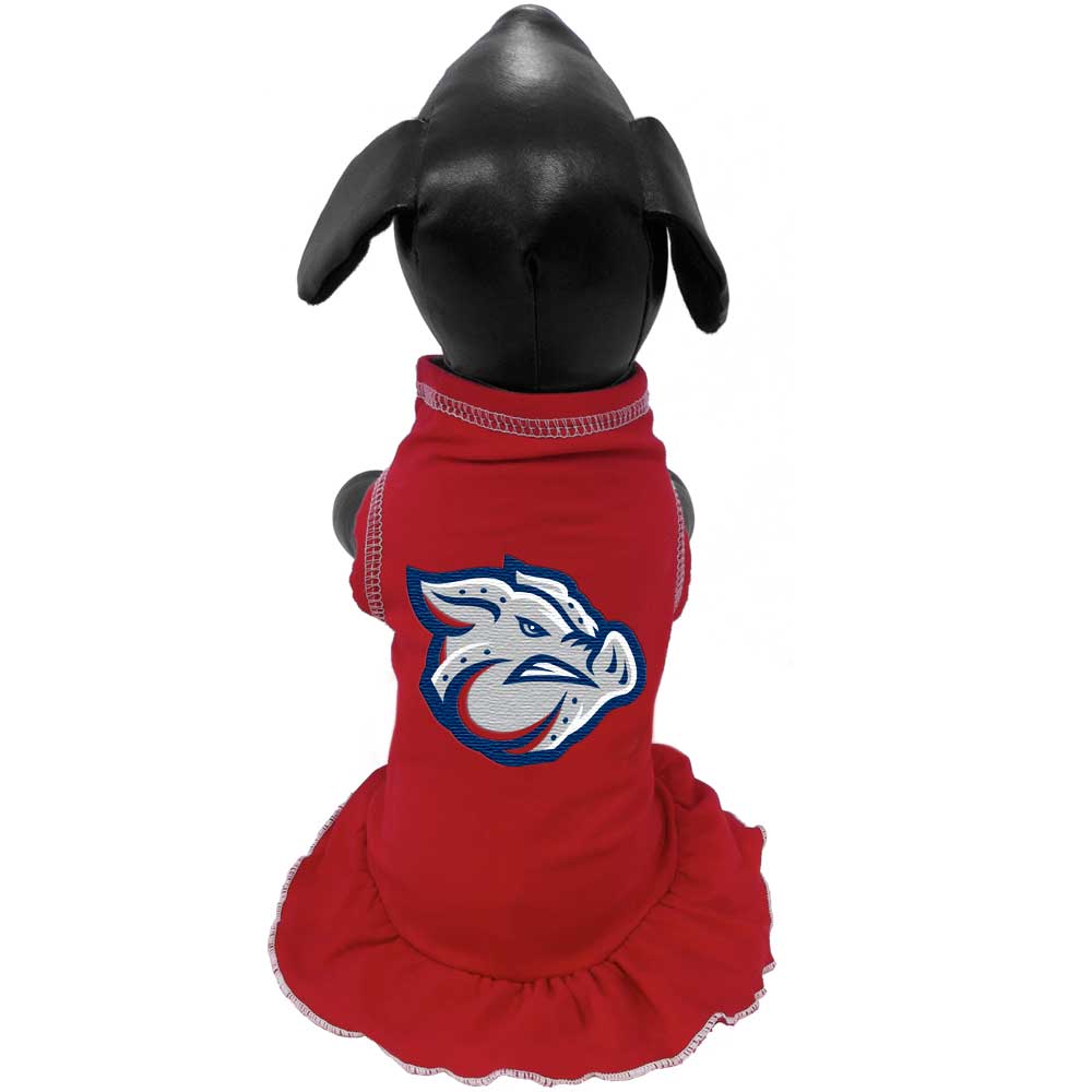 iron pigs jersey