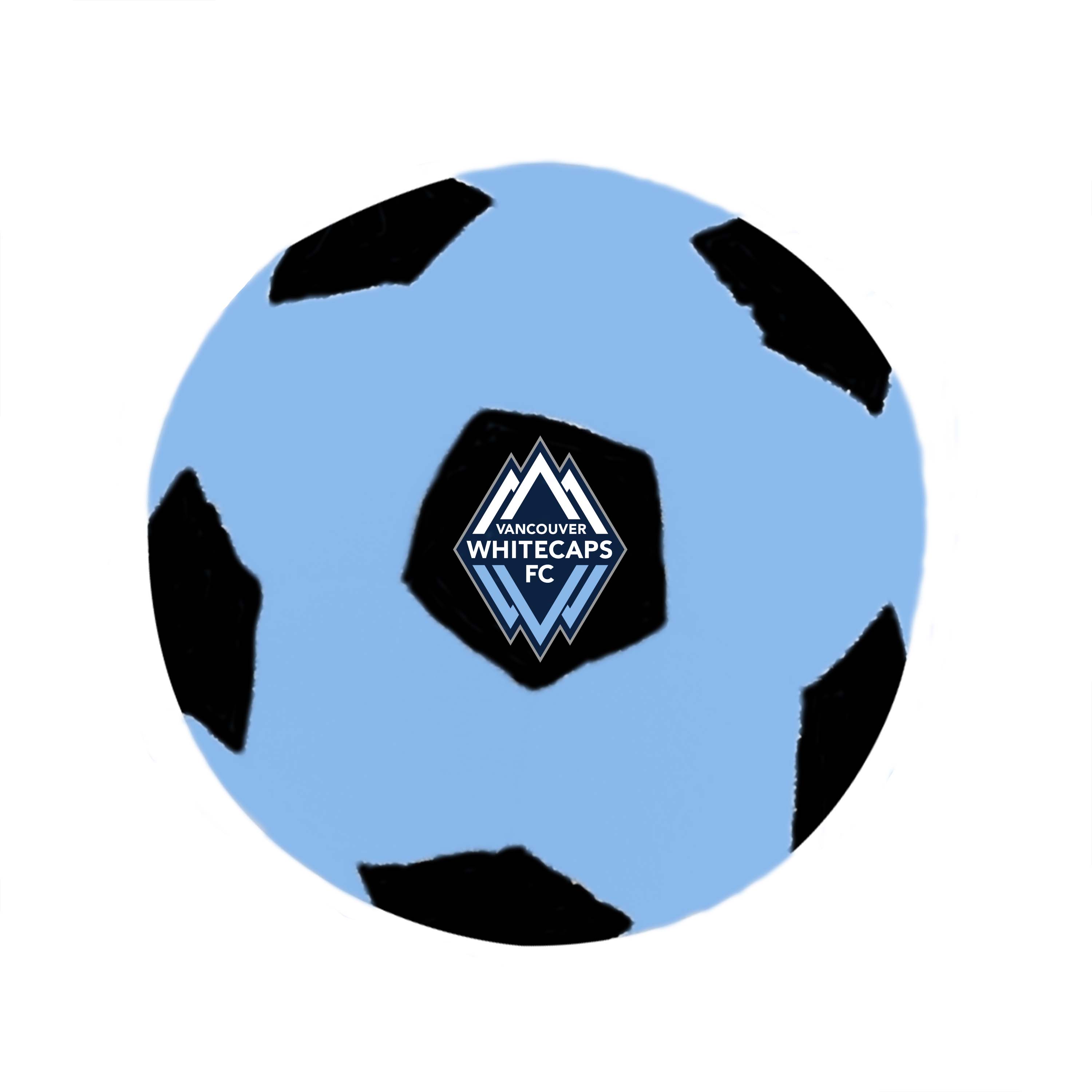 MLS investigating Minnesota United-Vancouver Whitecaps incident, image size:3000x3000