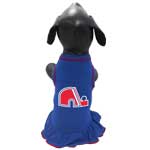 Quebec Nordiques Dresss