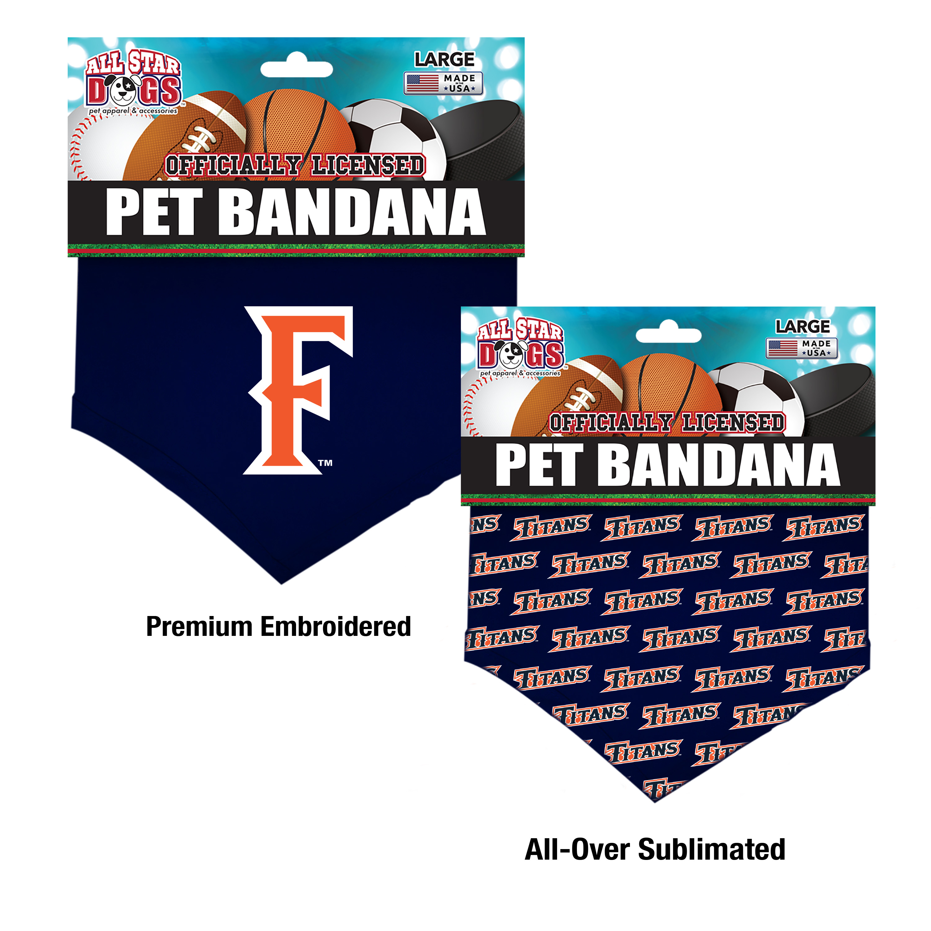 Csuf Decorations Desert Cactus Cal State Northridge University