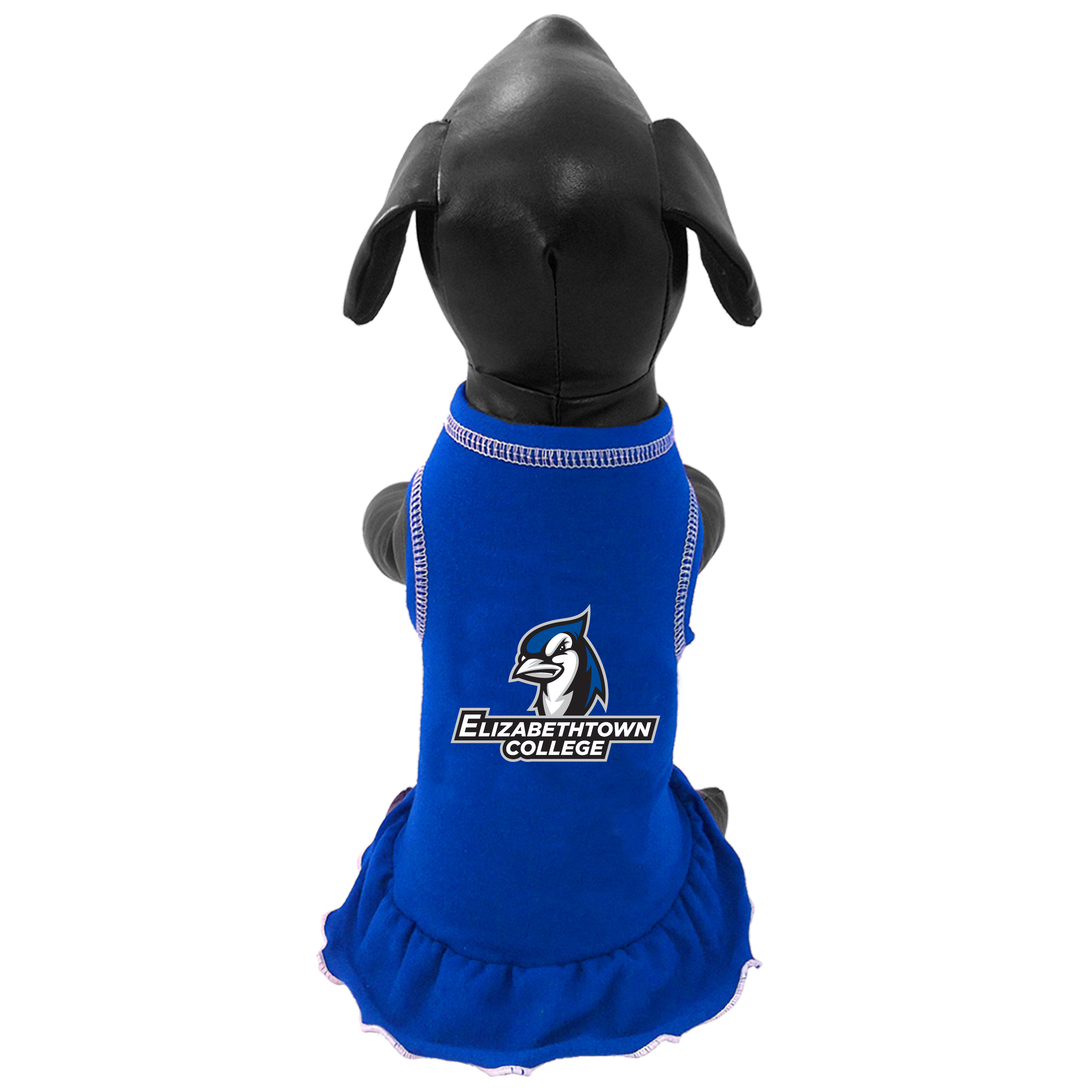 All Star Dogs: Elizabethtown College Blue Jays Pet apparel and accessories