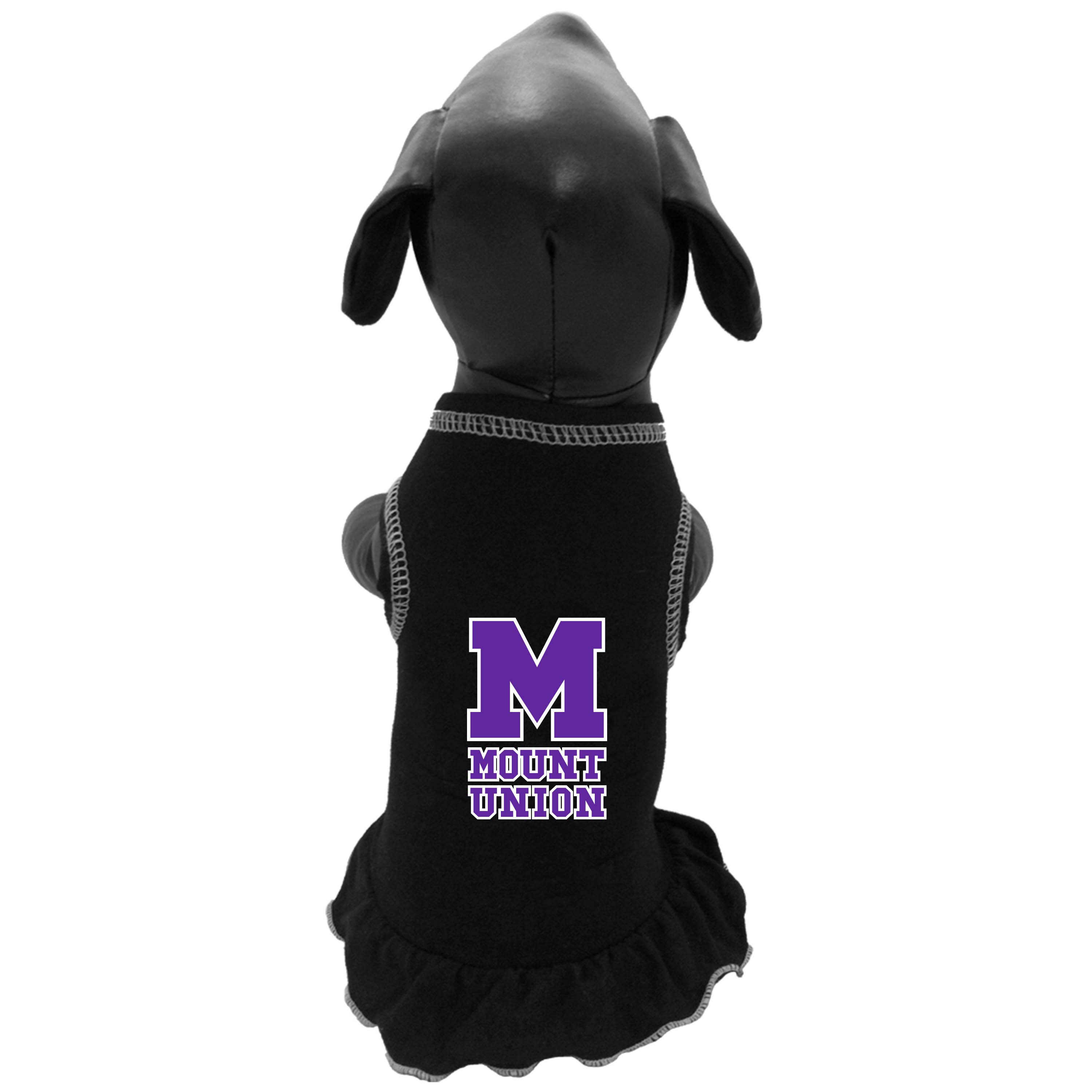 raiders pet clothes