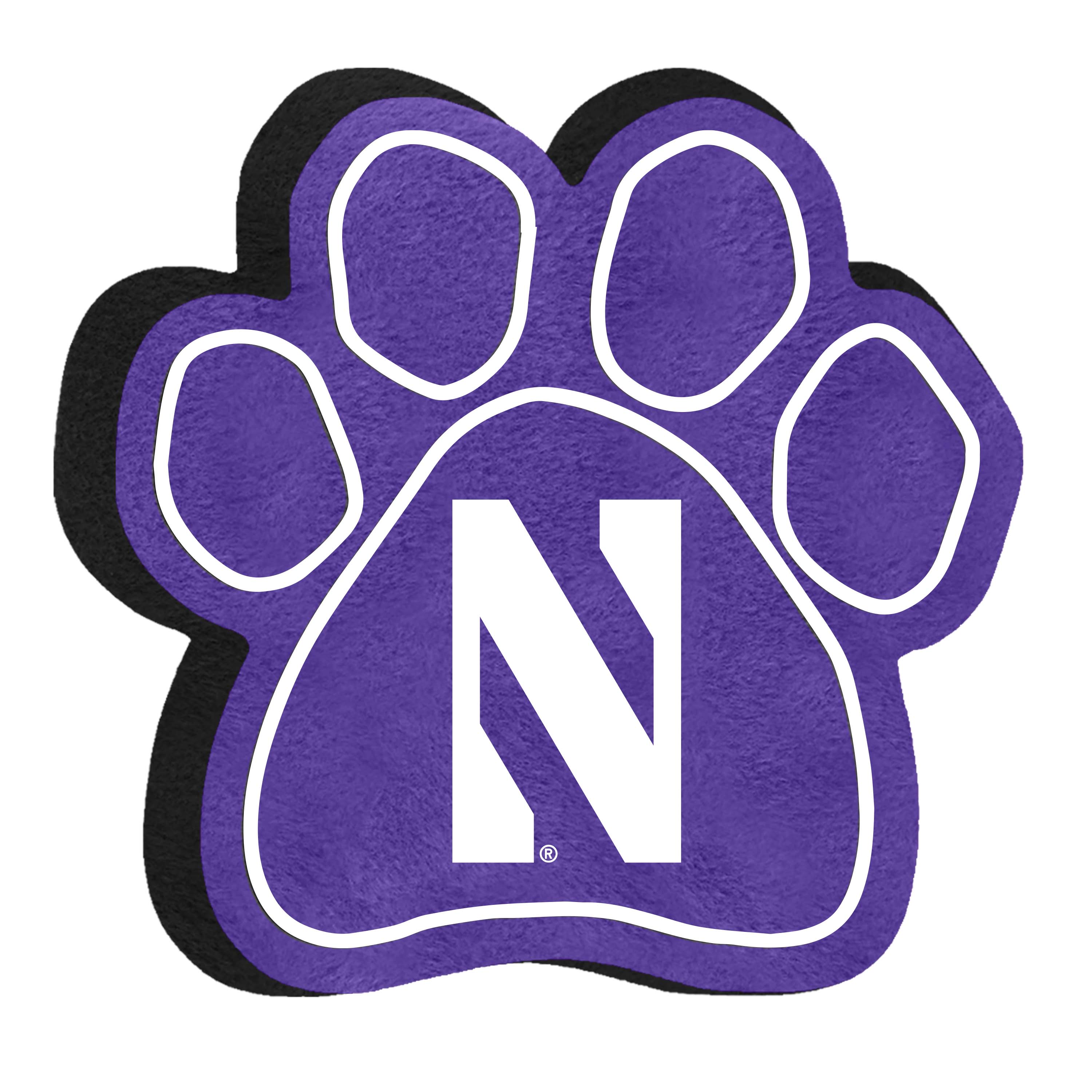 Northwestern University Wildcats Athletic Dog Jersey With N-Cat Design